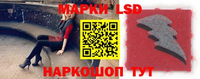 шишки Владимир