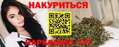 шишки Владимир