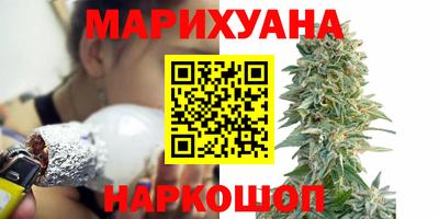 шишки Владимир