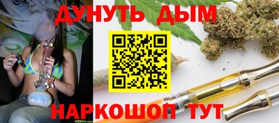 шишки Владимир
