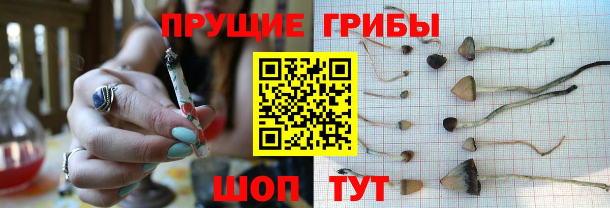 Псилоцибиновые грибы мухоморы Нурлат