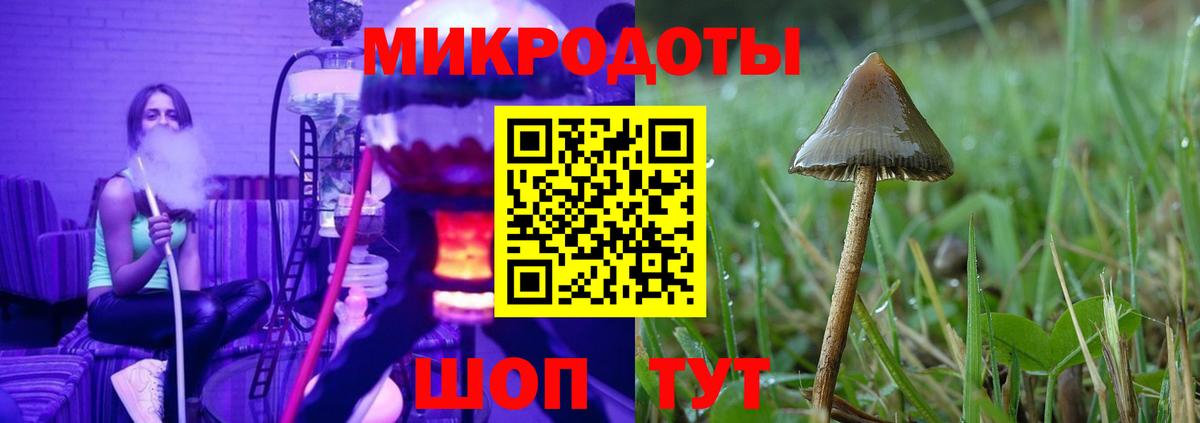 Галлюциногенные грибы Cubensis  Вход с VPN  Нурлат  Галлюциногенные грибы Psilocybe 